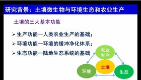 全球土壤信息系统 全球土壤有机碳 soc 地图 v1.0 介绍