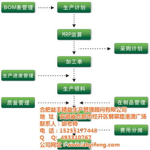 益丰精益 安徽人力资源管理